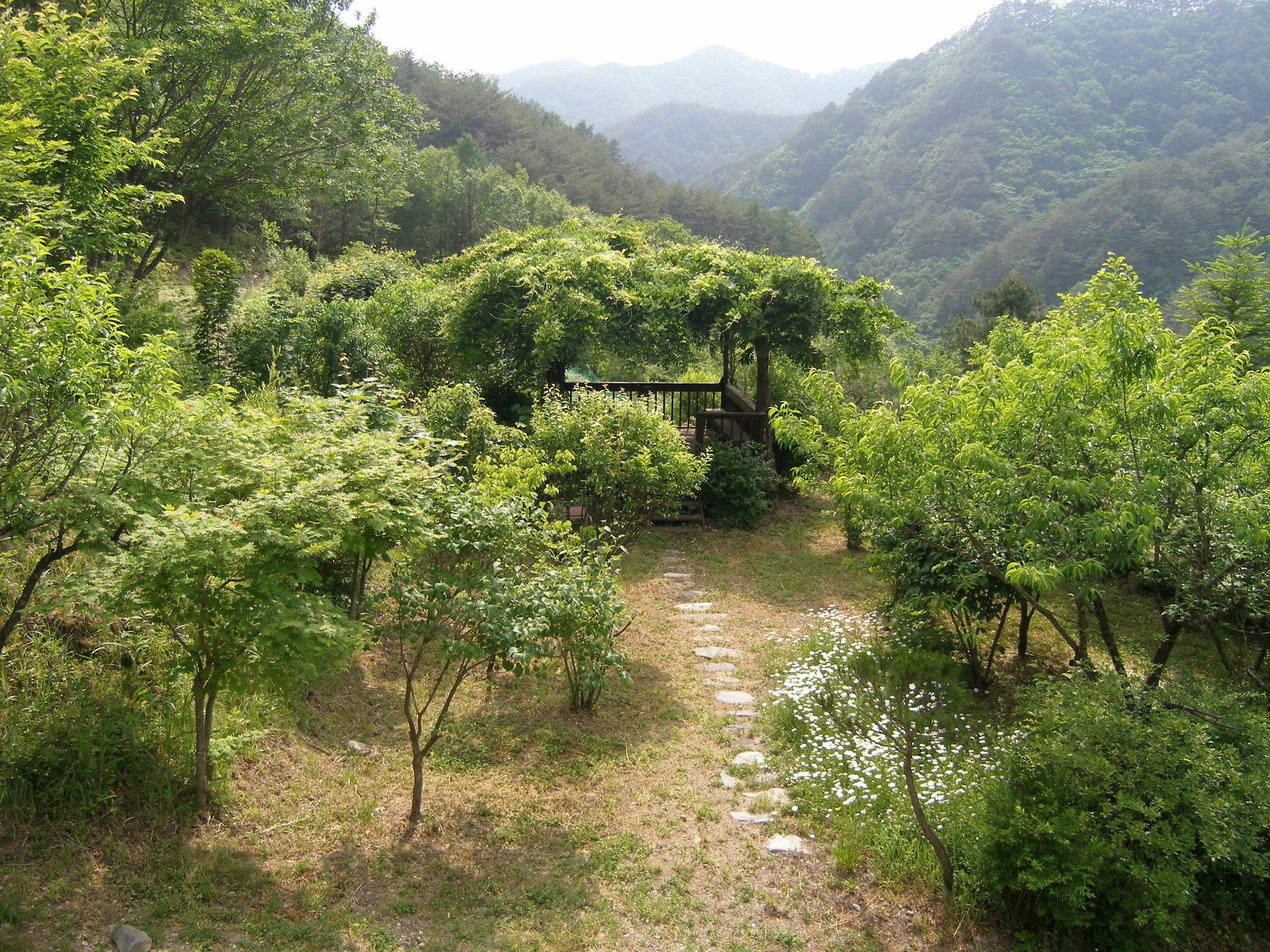 Fairy Tale Pension Pyeongchang Exterior photo