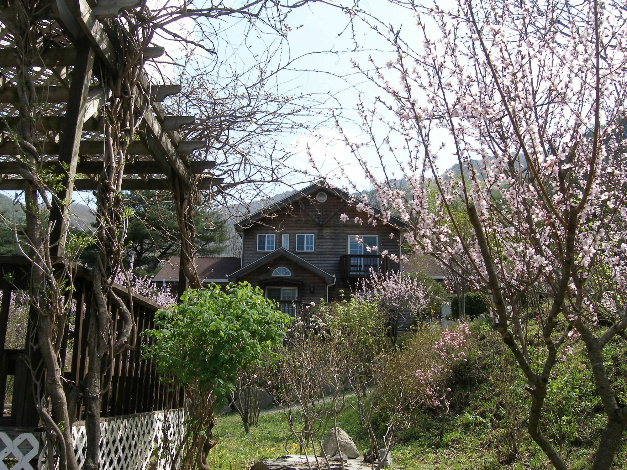 Fairy Tale Pension Pyeongchang Exterior photo